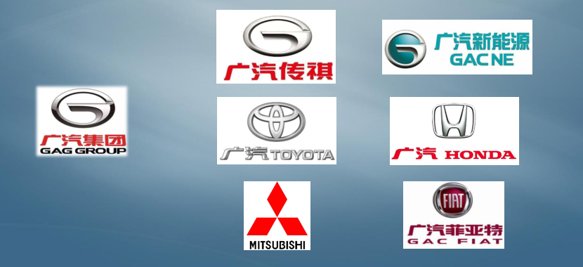 國內客戶(hù)分布