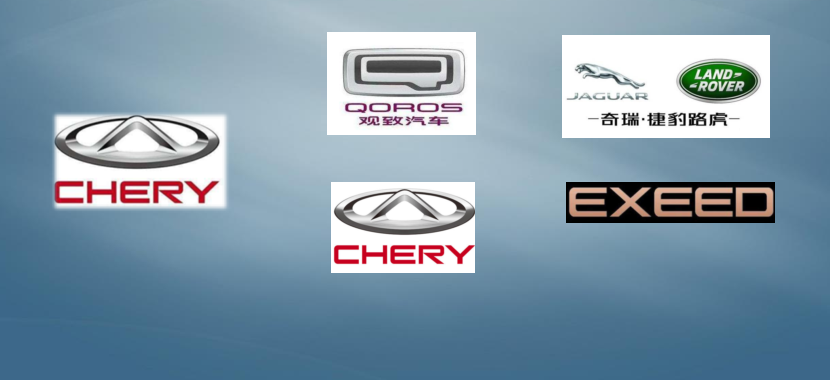 國內客戶(hù)分布