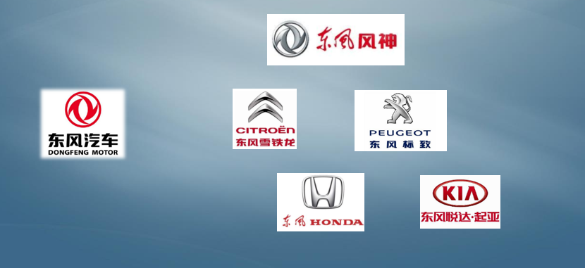 國內客戶(hù)分布