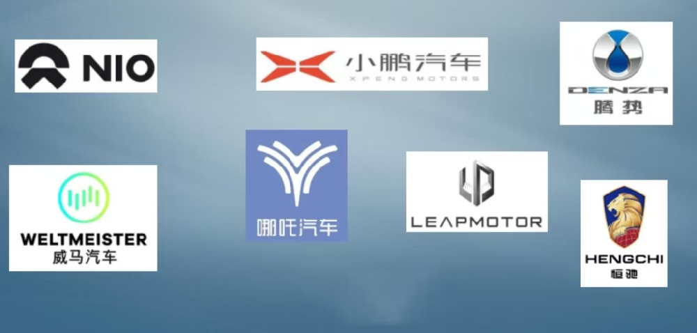 國內客戶(hù)分布